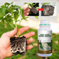 🌱 ¡COMPRA 2 LLEVA 3! ✨ Fertilizante de Enraizamiento Rápido - Estimula el Crecimiento de Raíces Fuertes en Plantas y Esquejes 🌿🔬