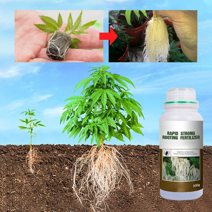 🌱 ¡COMPRA 2 LLEVA 3! ✨ Fertilizante de Enraizamiento Rápido - Estimula el Crecimiento de Raíces Fuertes en Plantas y Esquejes 🌿🔬