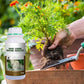 🌱 ¡COMPRA 2 LLEVA 3! ✨ Fertilizante de Enraizamiento Rápido - Estimula el Crecimiento de Raíces Fuertes en Plantas y Esquejes 🌿🔬