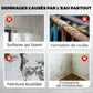 💐🎨🔧 PROMO -50% ! Revêtement Polyuréthane Multifonction – Couverture Complète pour Toutes Surfaces (Intérieur/Extérieur)