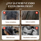 💆‍♀️ ¡COMPRA 2 LLEVA 3! ✨ Champú para Tintes Naturales de Larga Duración - Fórmula Suave que Preserva el Color y Protege el Cabello Teñido 🌿🧴