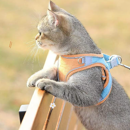 🐾 50% DE RÉDUCTION 🦺 Harnais réfléchissant une pièce – Respirant, rembourré & sécurisé – Pour chiens & chats – fermeture facile, ajustement confortable – idéal pour les promenades nocturnes 🌙
