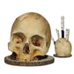 💀 50% DE DESCUENTO ! 🔥 Soporte para Cuchillos con Forma de Calavera en Resina - Diseño Único y Estable para Cocina o Colección 🍴✨