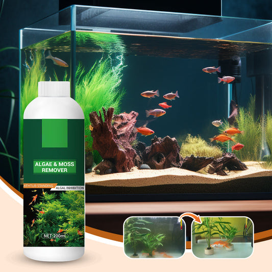 🐟 ¡COMPRA 1 LLEVA 2! 🌿 Eliminador de Algas para Pecera - Purificación Segura del Agua sin Dañar a los Peces, Fácil Aplicación 💧✨