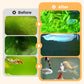 🐟 ¡COMPRA 1 LLEVA 2! 🌿 Eliminador de Algas para Pecera - Purificación Segura del Agua sin Dañar a los Peces, Fácil Aplicación 💧✨