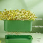 🌱 ¡COMPRA 3 LLEVA 4! ✨ Caja de Cultivo de Judías Germinadas Apilable - Kit de Huerto Urbano Multinivel para Brotes Frescos en Casa 🏡🥗