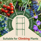Améliorez Votre Jardin en 1 Cliq | Tour à Plantes Ajustable sans Outil | Pour Lianes & Grimpantes 🌱【Vente Éclair】