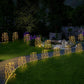 💐🌼🪴 OFFRE LIMITÉE -50% ! Lumières Décoratives de Jardin Solaires – 100 LED, IP55 & Installation Facile (Blanc/Multicolore, 60 cm)