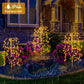 💐🌼🪴 OFFRE LIMITÉE -50% ! Lumières Décoratives de Jardin Solaires – 100 LED, IP55 & Installation Facile (Blanc/Multicolore, 60 cm)