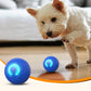 Balle Rebondissante Interactive pour Chien