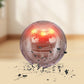 Balle Rebondissante Interactive pour Chien