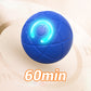 Balle Rebondissante Interactive pour Chien