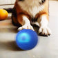 Balle Rebondissante Interactive pour Chien
