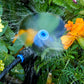 Kit d'irrigation goutte à goutte avec goutteurs réglables
