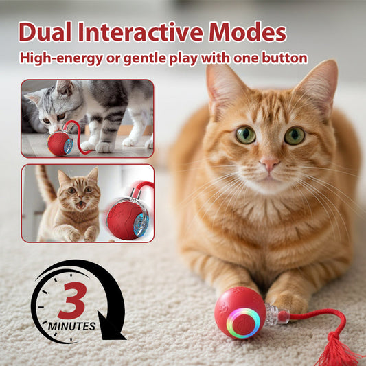 Balle Interactive pour Chat