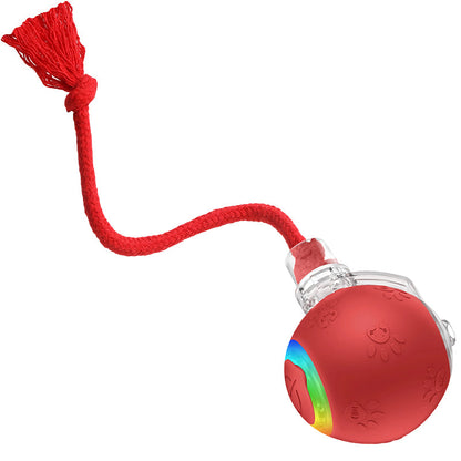 Balle Interactive pour Chat
