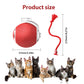 Balle Interactive pour Chat