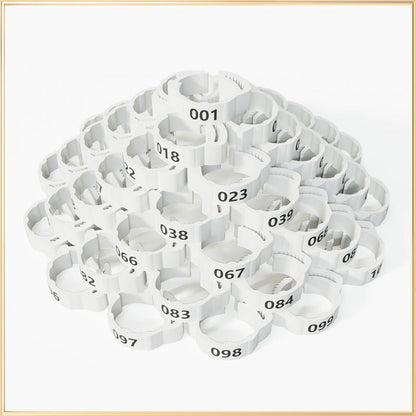 📢📢50 % DE RÉDUCTION !! ⏰Bracelets réglables à clipser pour pattes de volaille