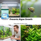 ✅ Comprimés effervescents pour aquariums cristallins
