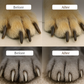 🐱 50% DE RÉDUCTION ! 🐶 Coupe-Griffes LED Animaux – Acier Inox & ABS – Précision Guidée & Anti-Projections for Chats & Chiens