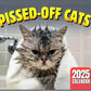 ⏳Offre à durée limitée – 50 % DE RÉDUCTION⏰🐱 Calendrier amusant sur les chats – 12 mois d'humour espiègle autour des chats