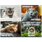 ⏳Offre à durée limitée – 50 % DE RÉDUCTION⏰🐱 Calendrier amusant sur les chats – 12 mois d'humour espiègle autour des chats