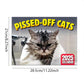 ⏳Offre à durée limitée – 50 % DE RÉDUCTION⏰🐱 Calendrier amusant sur les chats – 12 mois d'humour espiègle autour des chats